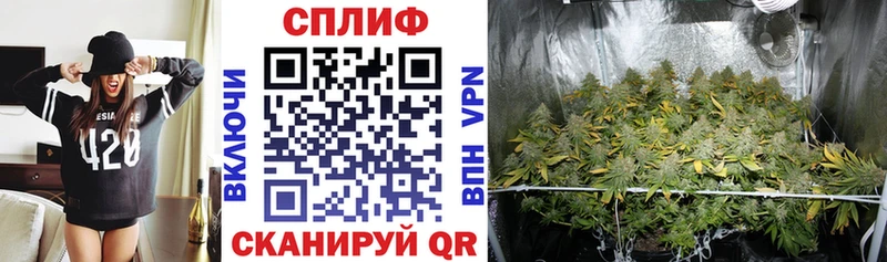 Конопля Ganja Новый Уренгой